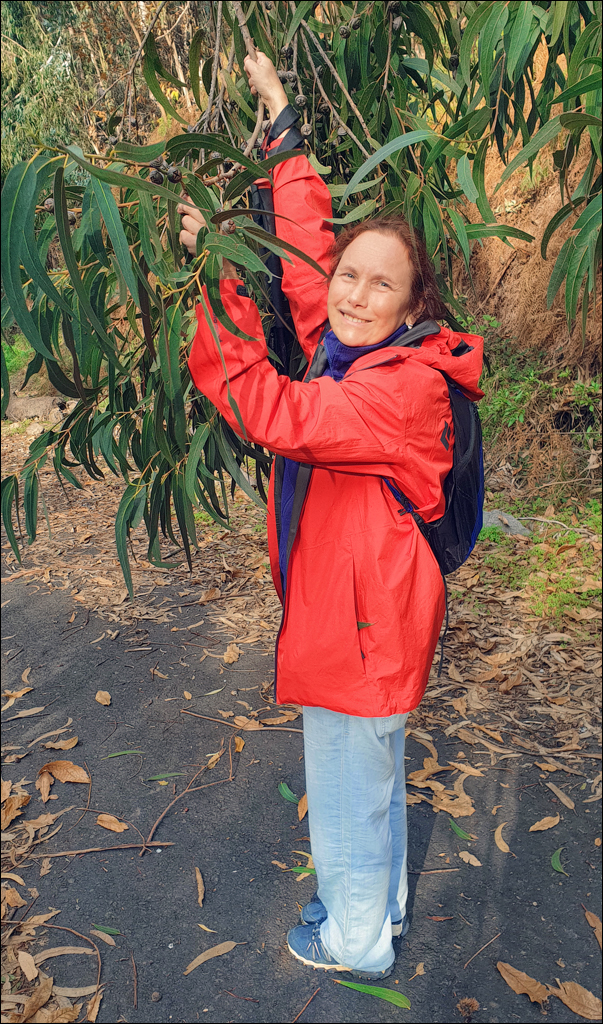 Madeira 24dec2024 08jan2025 161 00