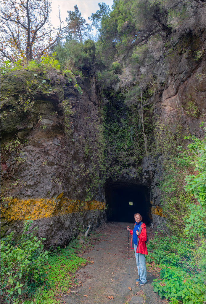 Madeira 24dec2024 08jan2025 164 00