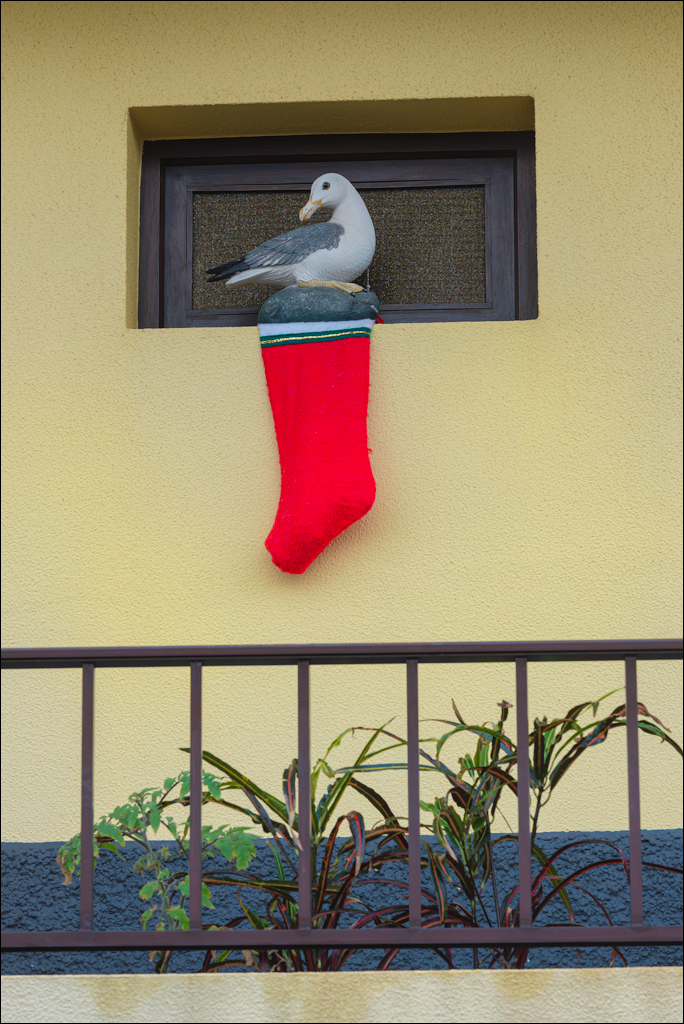 Madeira 24dec2024 08jan2025 105 00