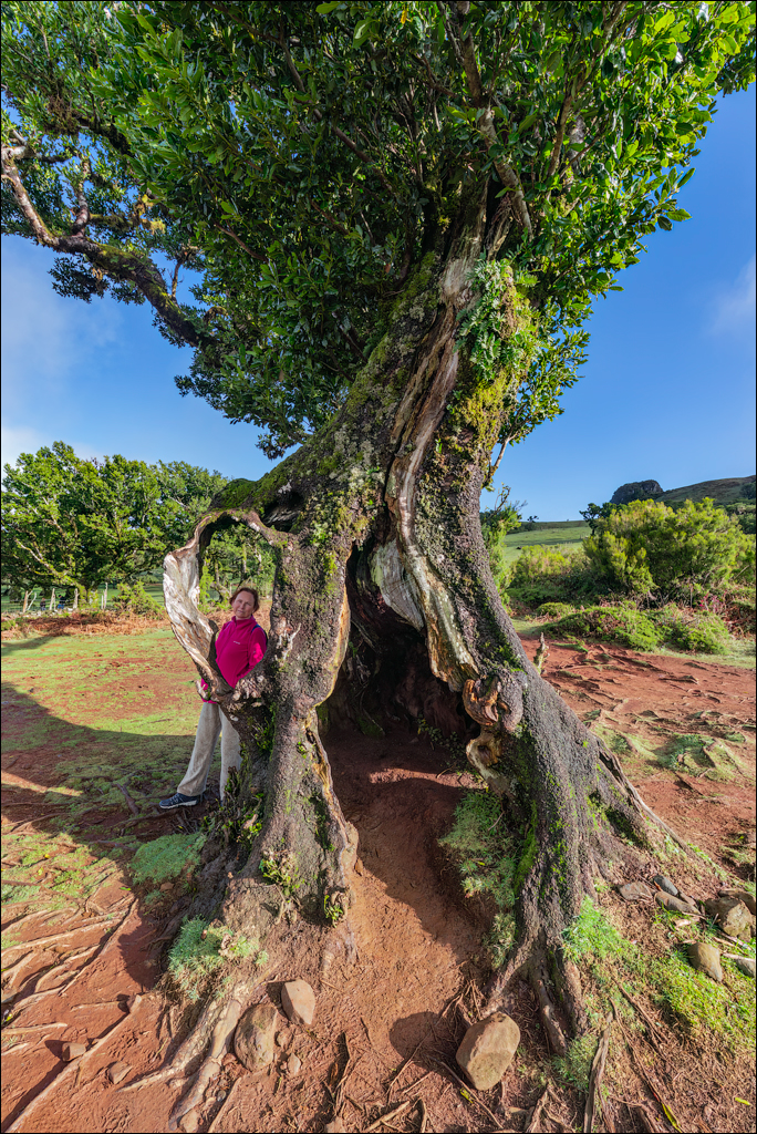Madeira 24dec2024 08jan2025 101 00