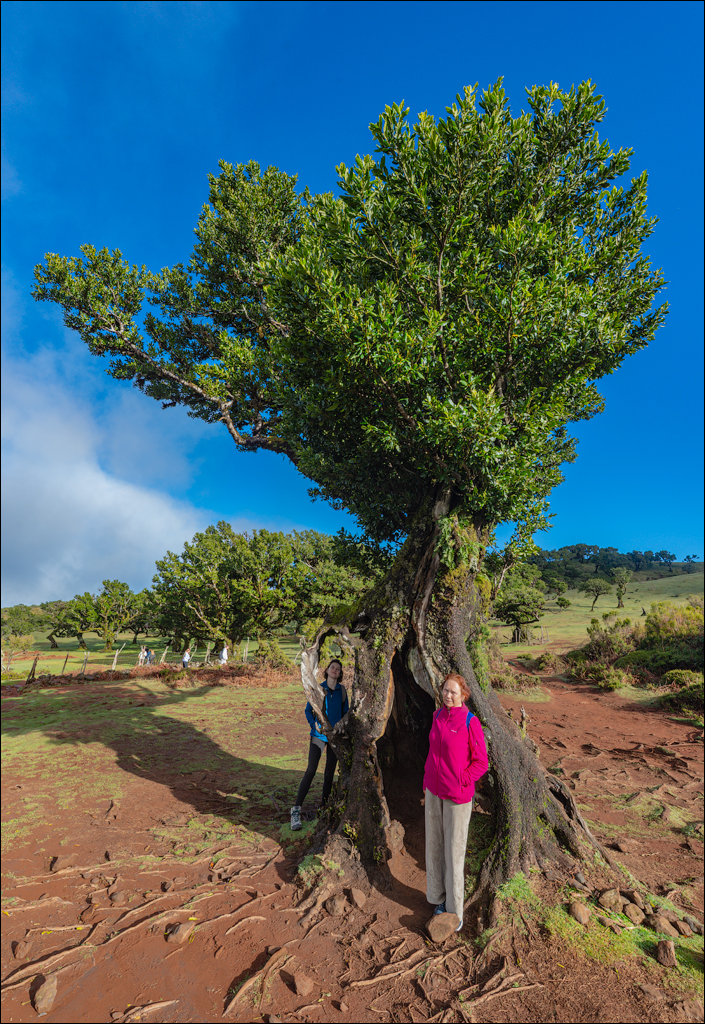 Madeira 24dec2024 08jan2025 107 00