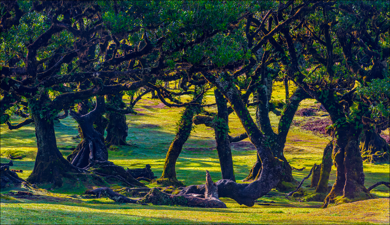 Madeira 24dec2024 08jan2025 129 00