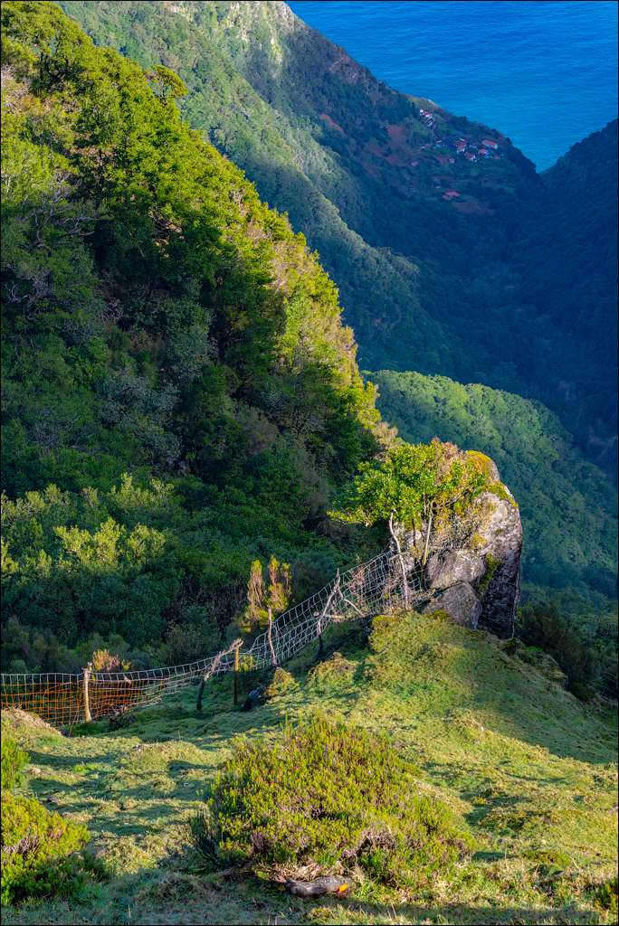 Madeira 24dec2024 08jan2025 140 00