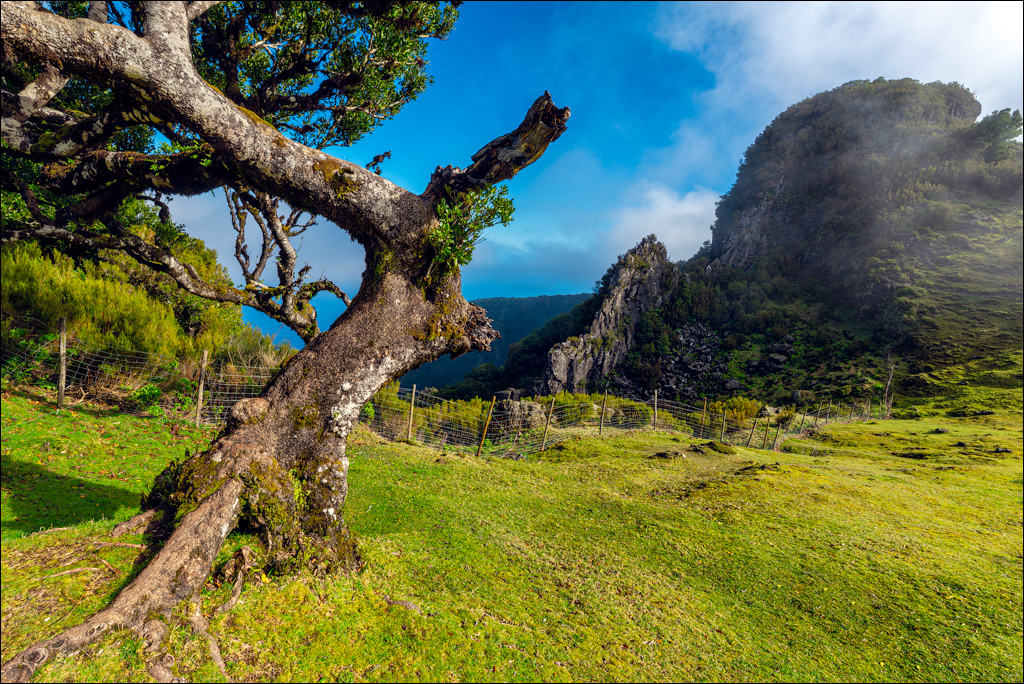 Madeira 24dec2024 08jan2025 148 00