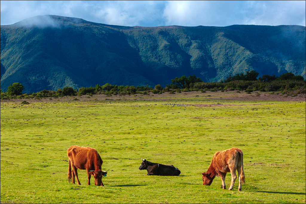 Madeira 24dec2024 08jan2025 157 00