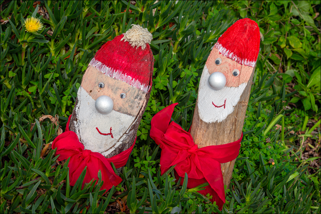 Madeira 24dec2024 08jan2025 166 00