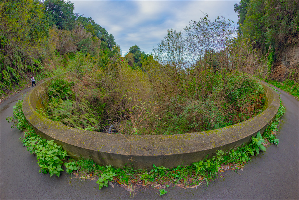 Madeira 24dec2024 08jan2025 178 00