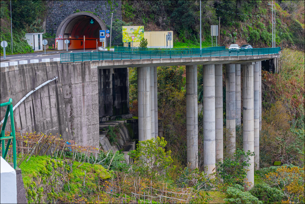Madeira 24dec2024 08jan2025 185 00