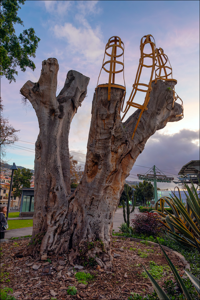 Madeira 24dec2024 08jan2025 100 00