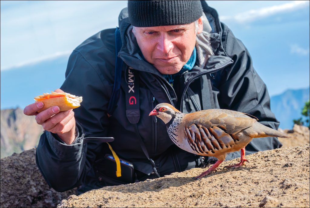 Madeira 24dec2024 08jan2025 162 00