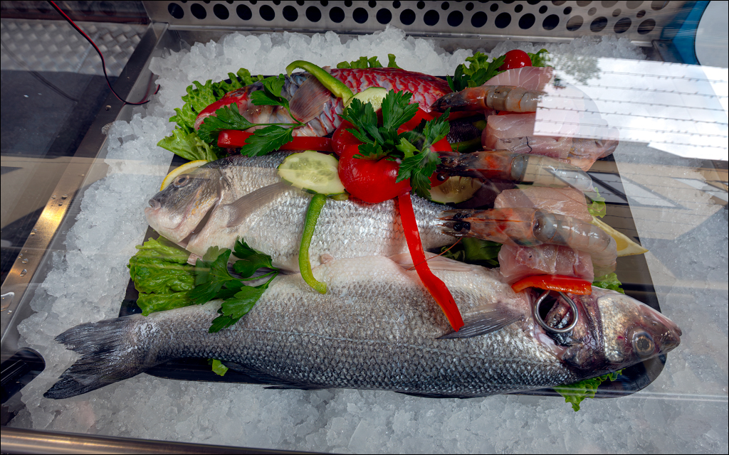 Madeira 24dec2024 08jan2025 149 00