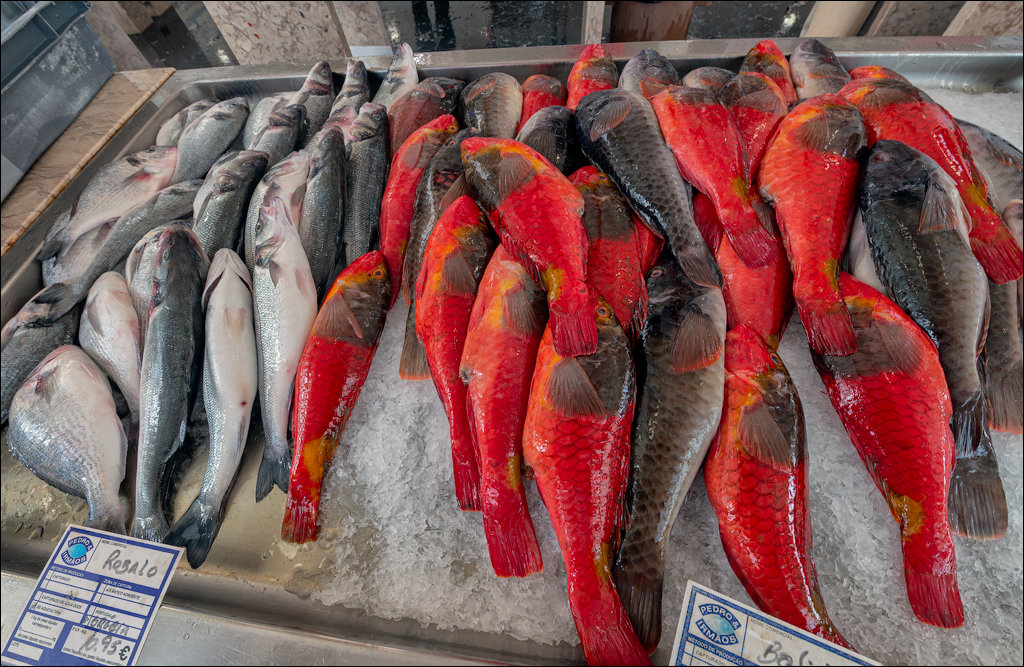 Madeira 24dec2024 08jan2025 151 00