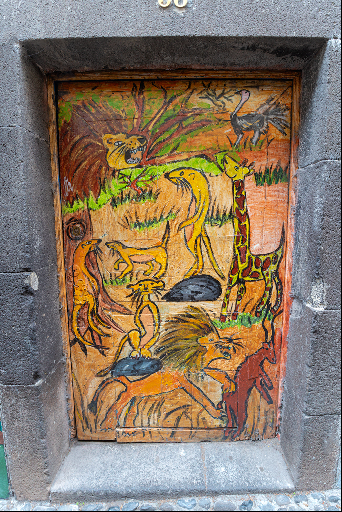 Madeira 24dec2024 08jan2025 165 00