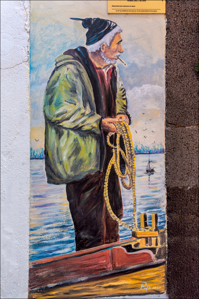 Madeira 24dec2024 08jan2025 169 00