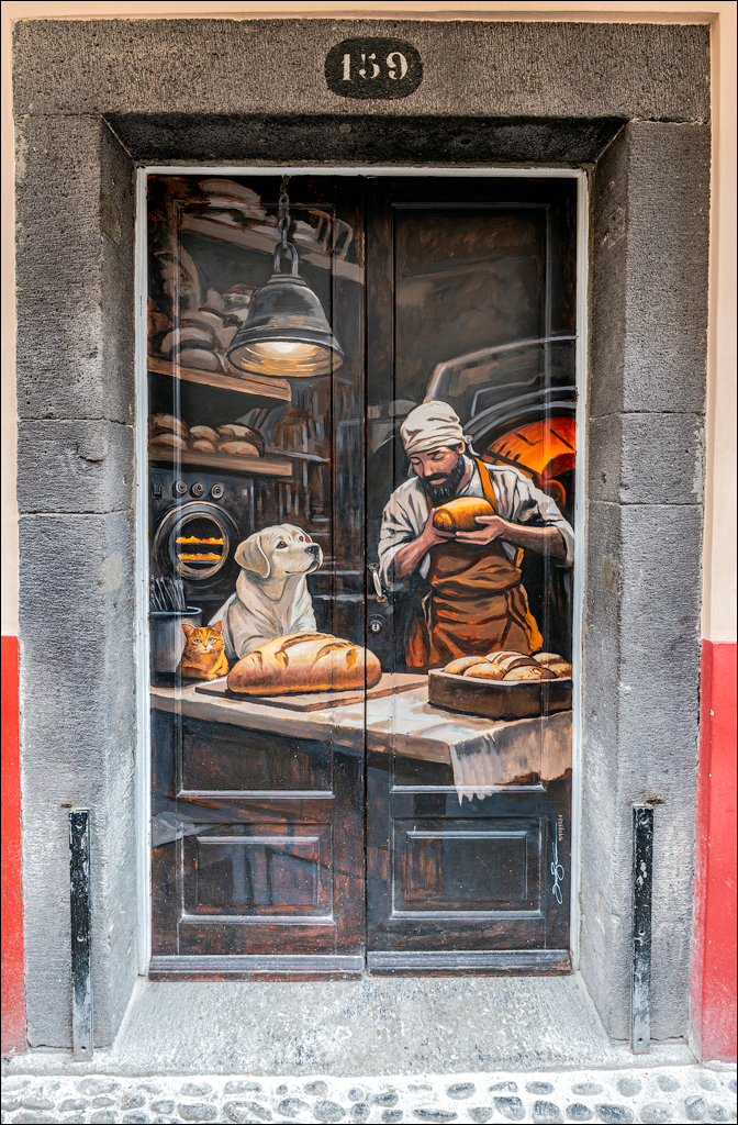 Madeira 24dec2024 08jan2025 196 00