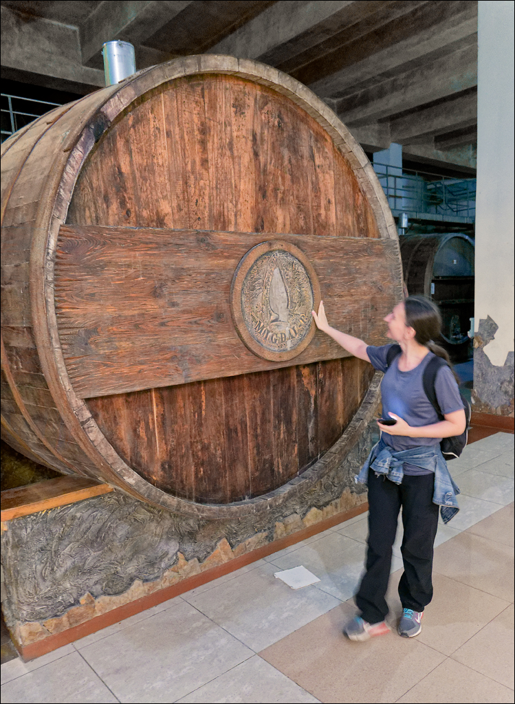 CojusnaWinery 27jul2024 140