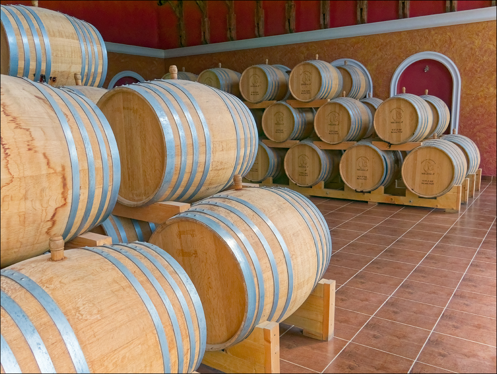 CojusnaWinery 27jul2024 151