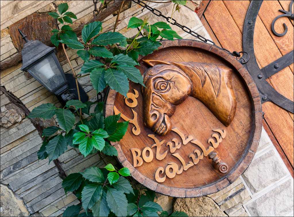 CojusnaWinery 27jul2024 177