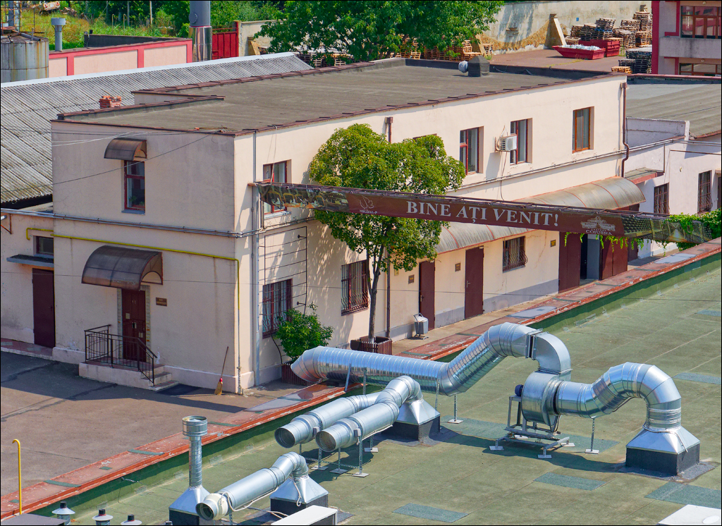 CojusnaWinery 27jul2024 185