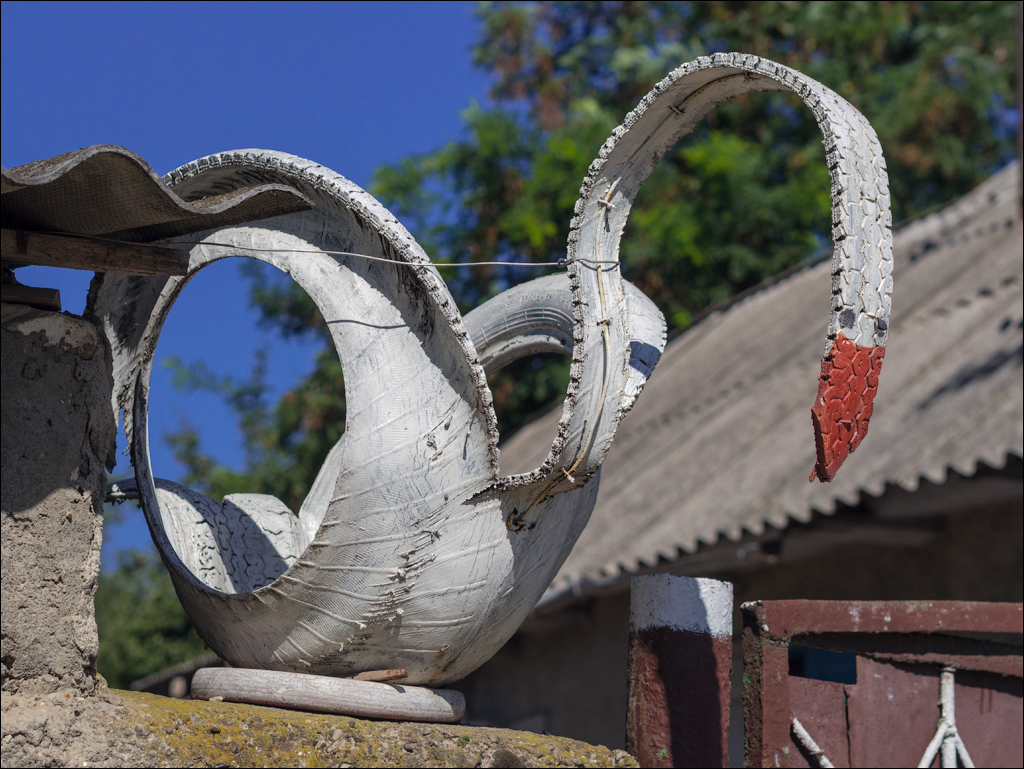 Sanatauca Racovat 201808011007