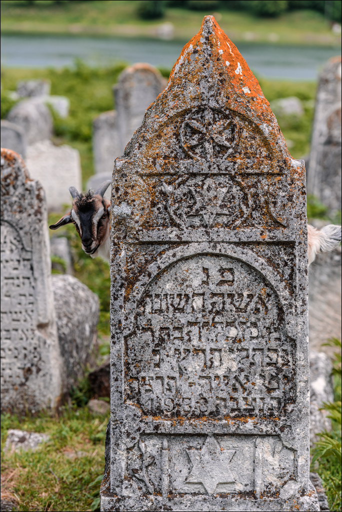 VadulRascov Socola 20180519119