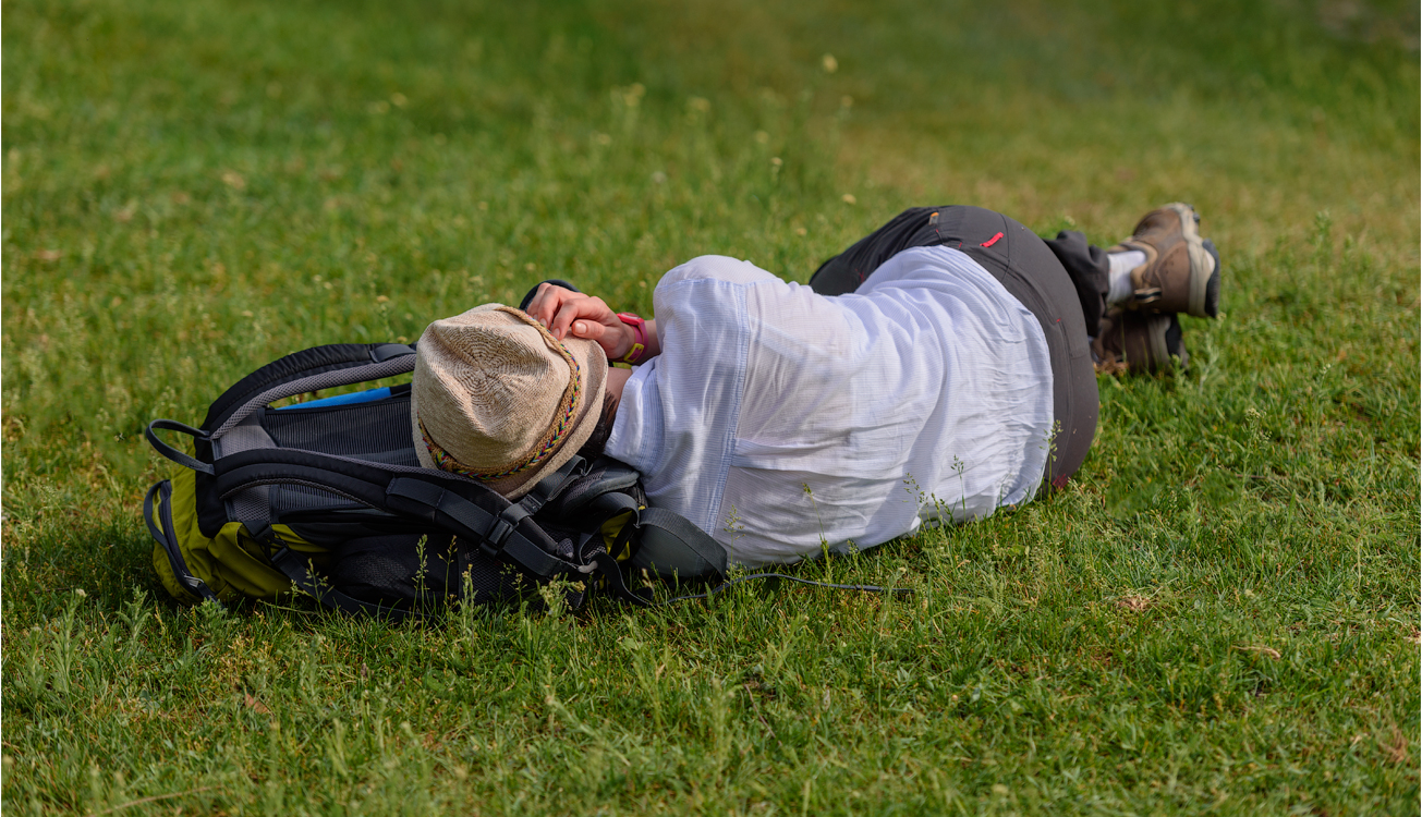 VadulRascov Socola 20180519149