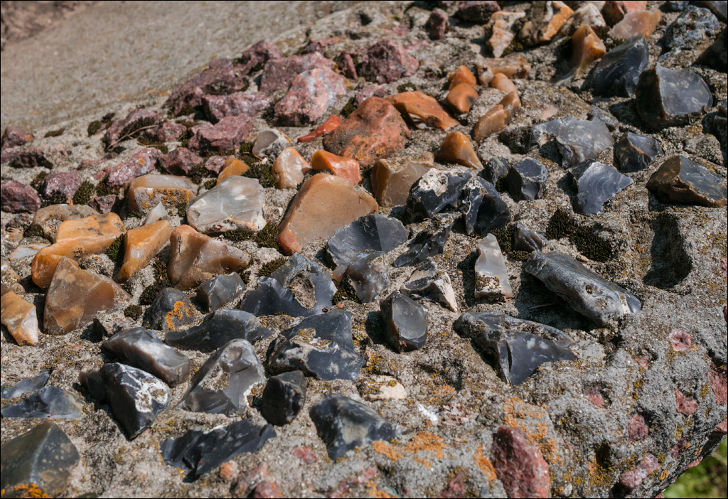 Costesti Duruitoarea PadureaDomn 20190427103