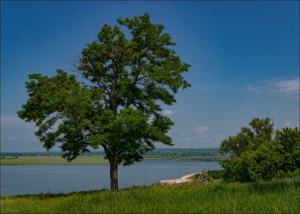 Costesti Duruitoarea PadureaDomn 20190427109