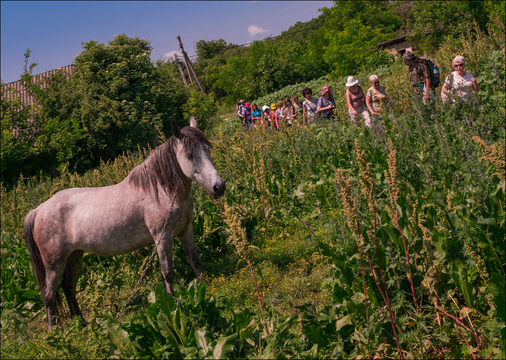 Costesti Duruitoarea PadureaDomn 20190427116