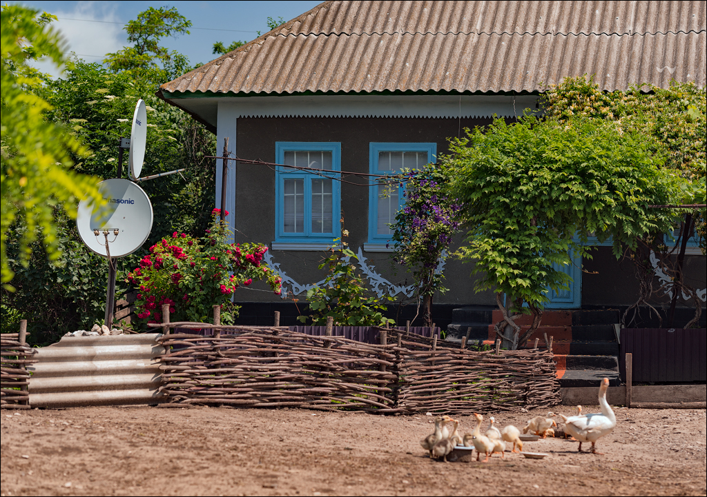 Costesti Duruitoarea PadureaDomn 20190427141