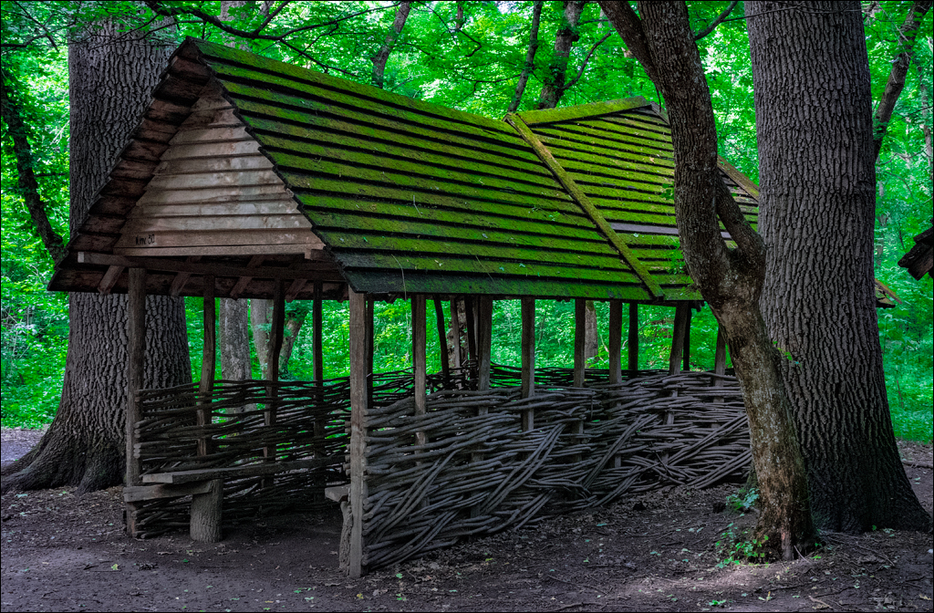 Costesti Duruitoarea PadureaDomn 20190427153