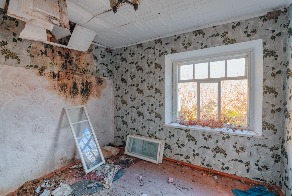 Naslavcea Taul Mindic 20201121 126