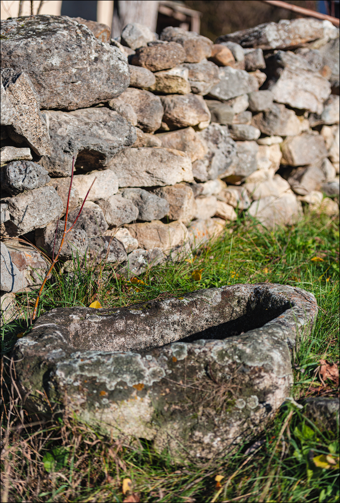 Naslavcea Taul Mindic 20201121 137