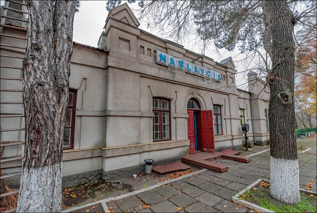 Naslavcea Taul Mindic 20201121 155