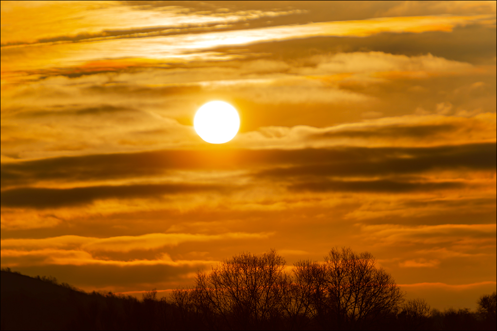 Naslavcea Taul Mindic 20201121 163