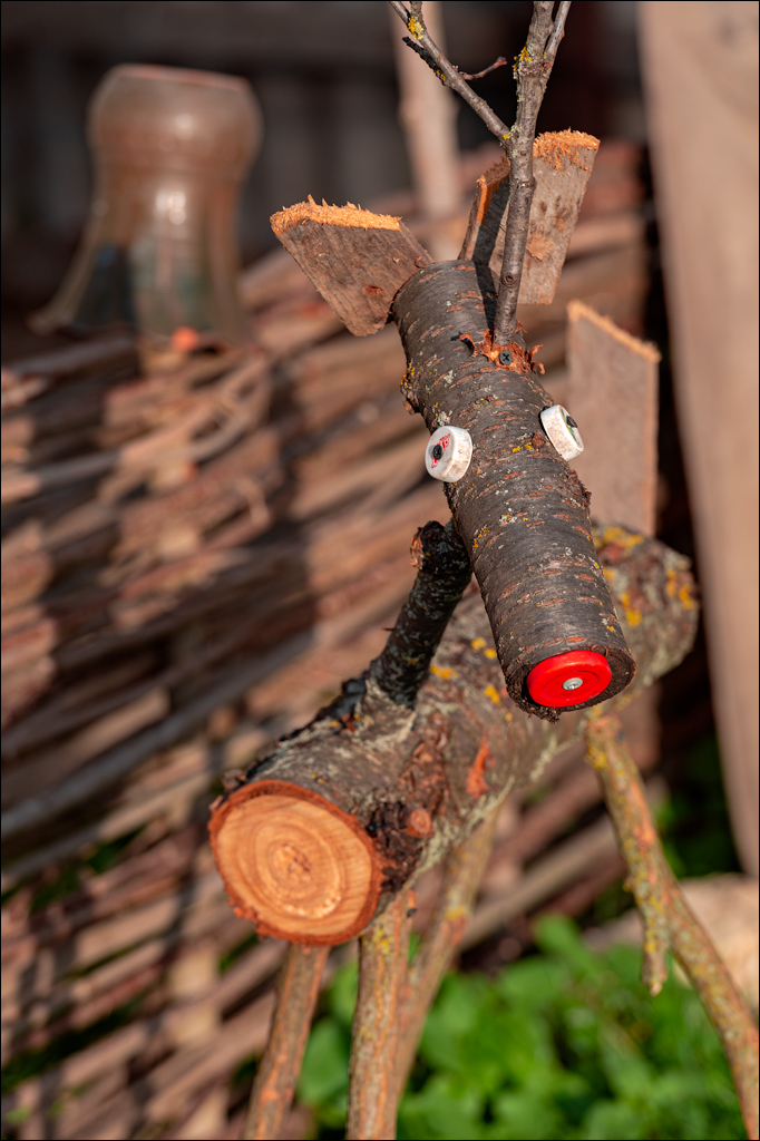 Naslavcea Taul Mindic 20201121 171