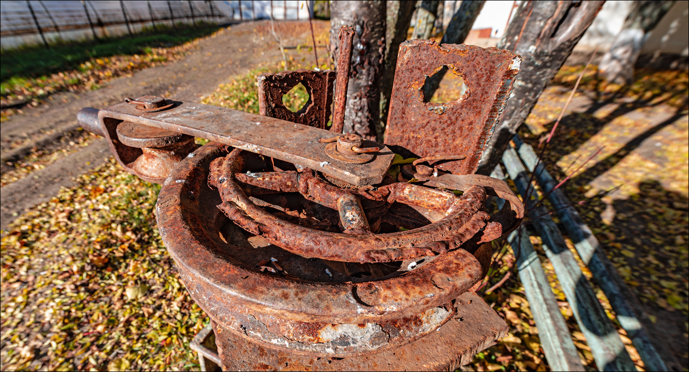 Naslavcea Taul Mindic 20201121 249