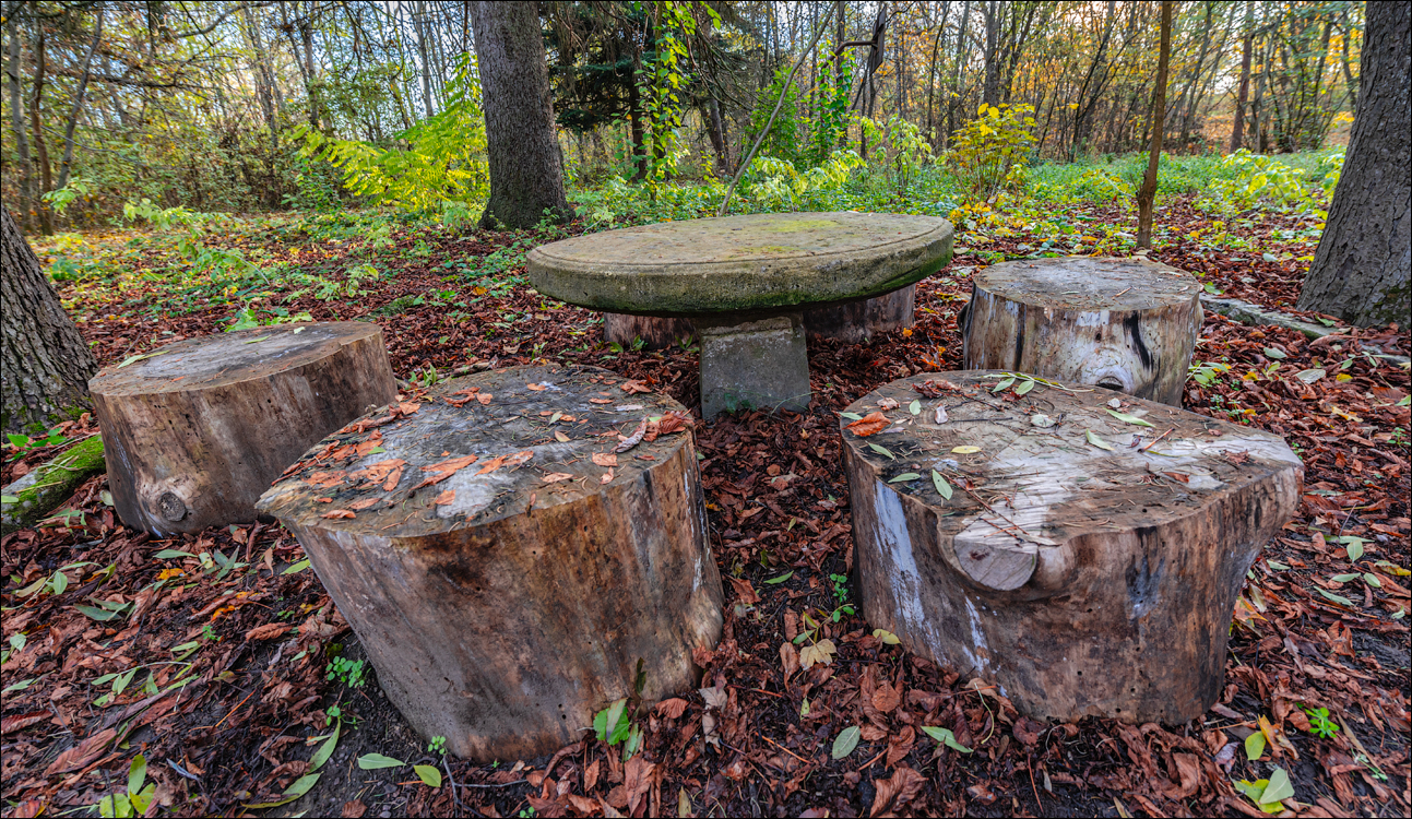 Naslavcea Taul Mindic 20201121 274