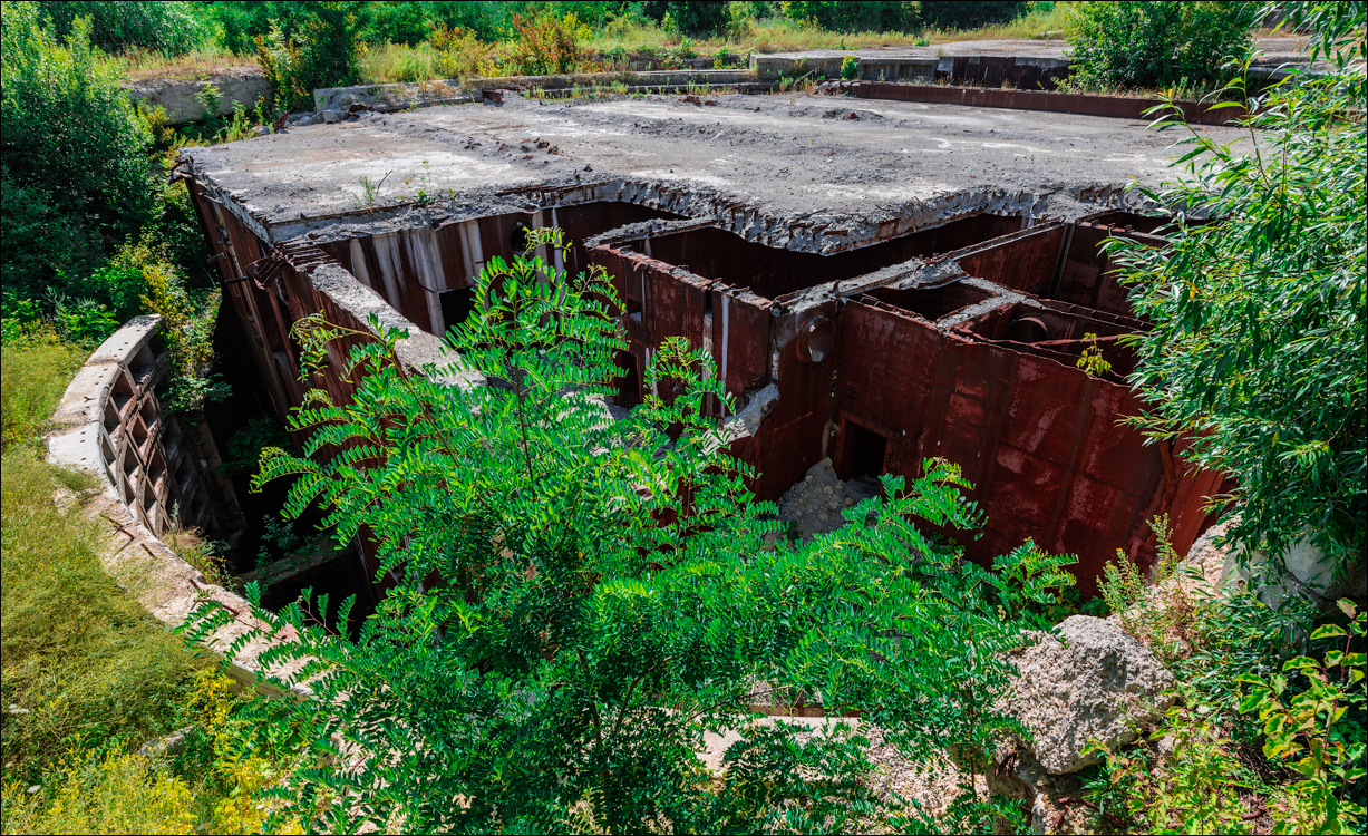 Oliscani Dobrusha Cuselevca Cobilea 20190721142