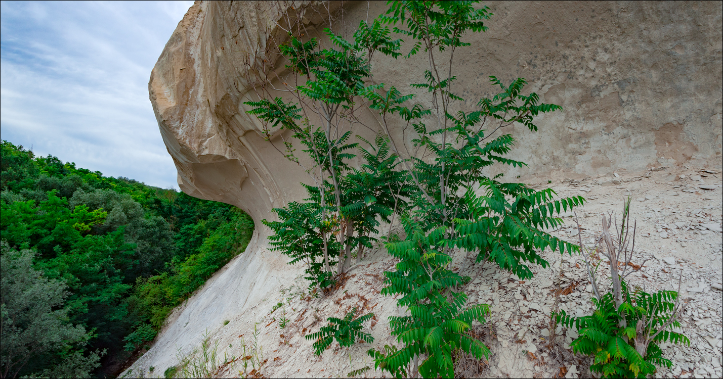 Soroca Ciuhuresti Saharna 20190427115