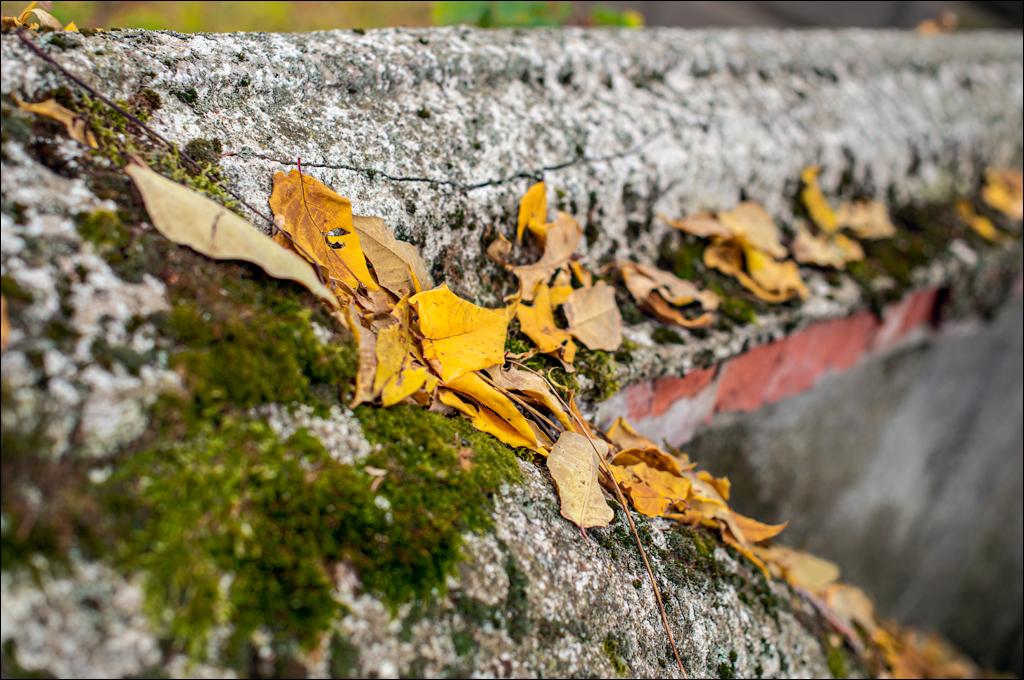 Taul Mindic122519 128