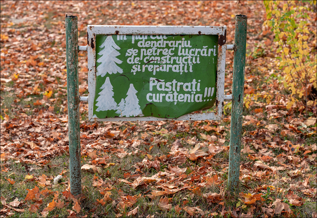 Taul Mindic122519 156