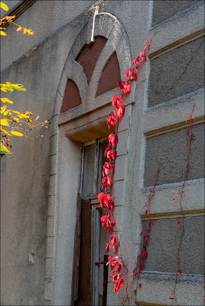 Taul Mindic122519 176