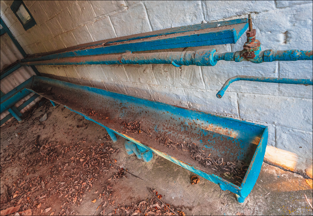 Taul Mindic122719 215