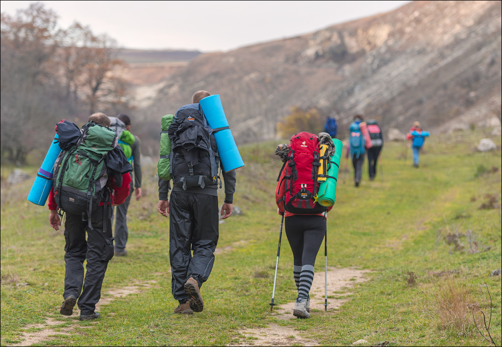 Brinzeni Trinca 20171110024