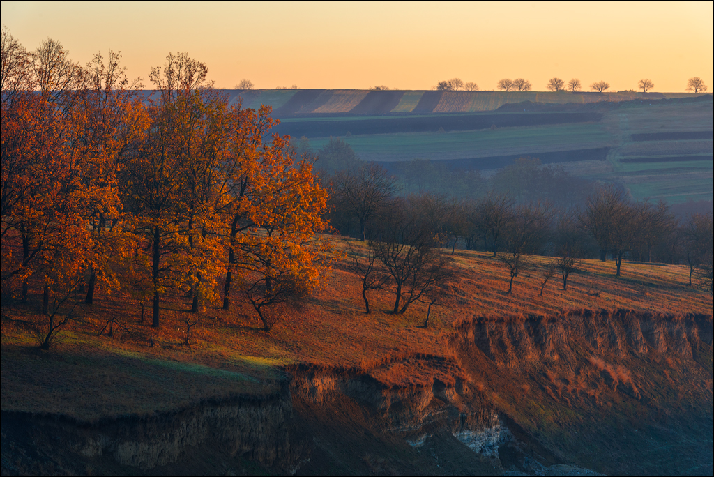Brinzeni Trinca 20171110052