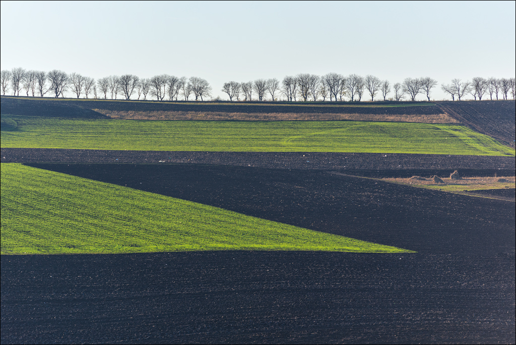 Brinzeni Trinca 20171110098