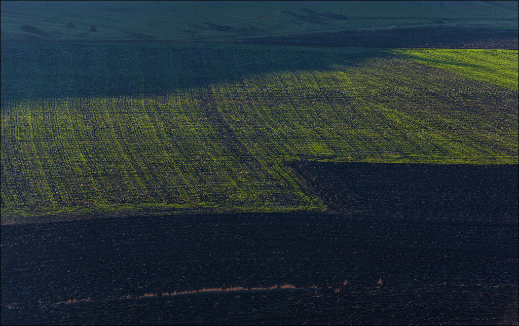 Brinzeni Trinca 20171110099