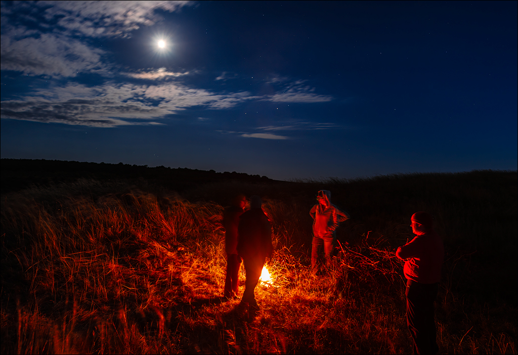 Цыпова '2016. Звездопад.