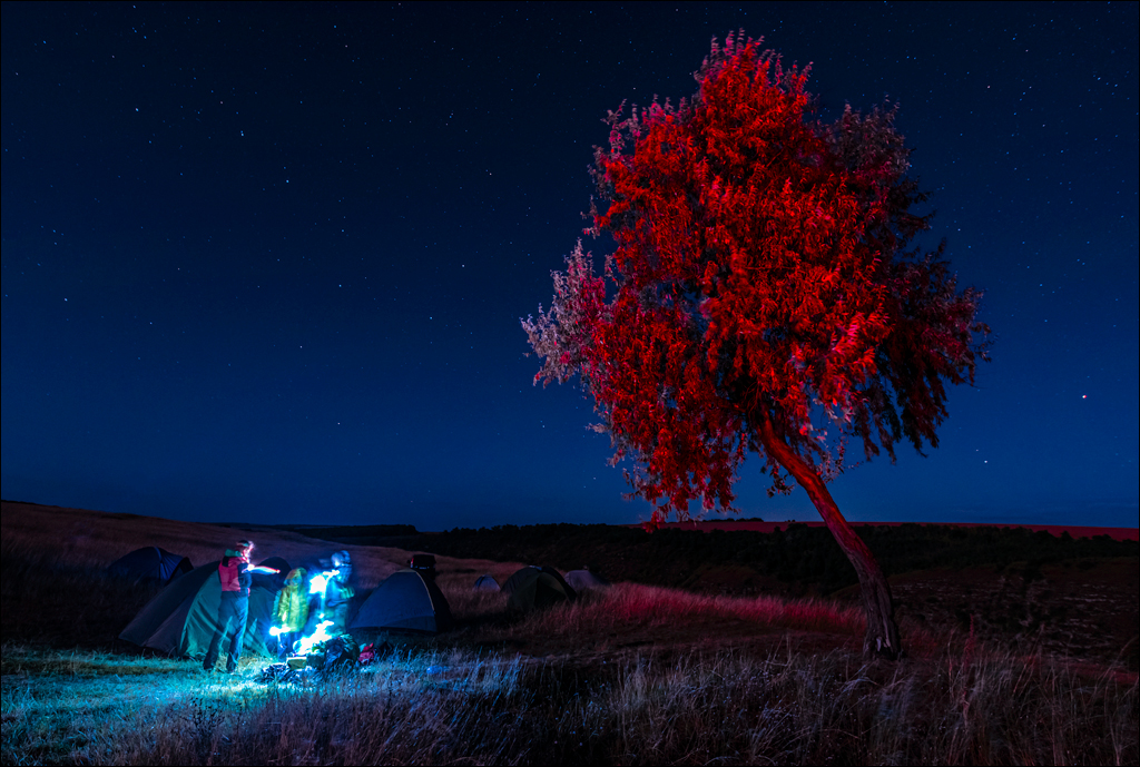 Tipova Zvezdopad 20160813 132